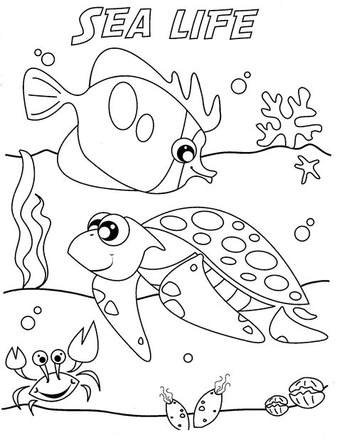 Sea life coloring pages to download and print for free