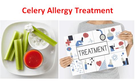 Celery Allergy Treatment - Fruits Facts