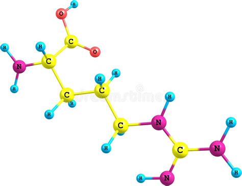 Arginine Molecular Structure on White Background Stock Illustration - Illustration of molecule ...