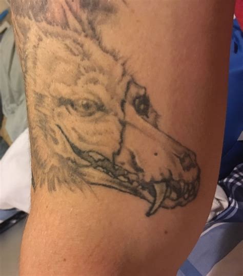 Coyote | Tattoos, Animal tattoo, Coyote