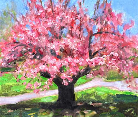 Cherry Blossom Tree in Central Park Painting by Robert Holden - Pixels