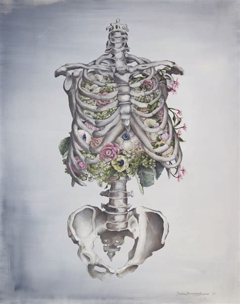 Floral Anatomy Illustrations By Trisha Thompson Adams