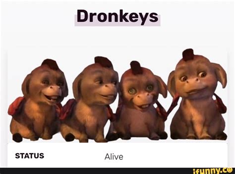 Shrek Dronkeys