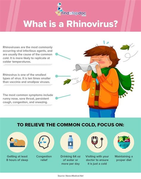 What is Rhinovirus? [Infographic]