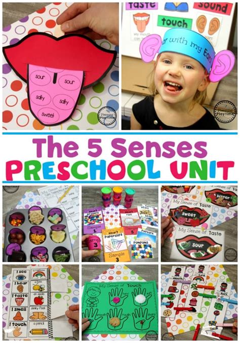 Five Senses Preschool Theme