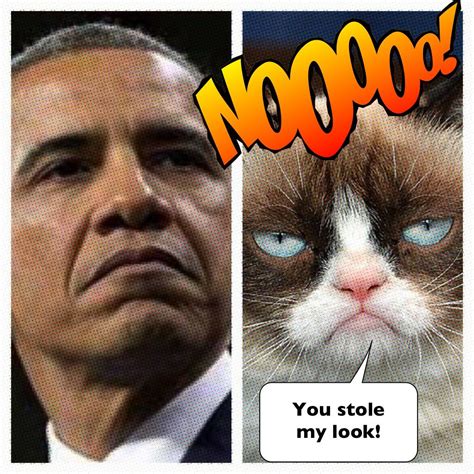 Grumpy cat has met her match! NoObammmy! | Grumpy cat, Grumpy, Movie posters