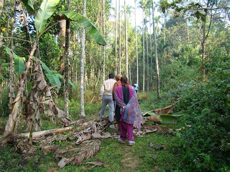 walking-trail-through-the-wilderness-of-wayanad - HolidayMonk ...