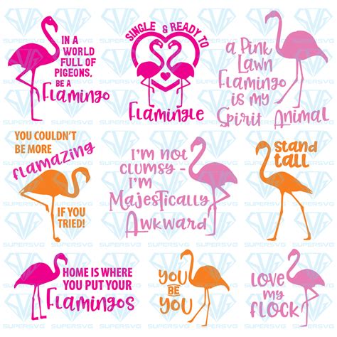 Flamingo Bundle Svg Files For Silhouette Files For Cricut Svg Dxf Eps Png Instant Download ...