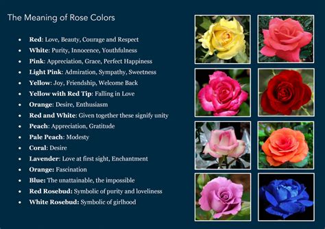 Secrets of a Craft Freak: The Meaning of Rose Colors