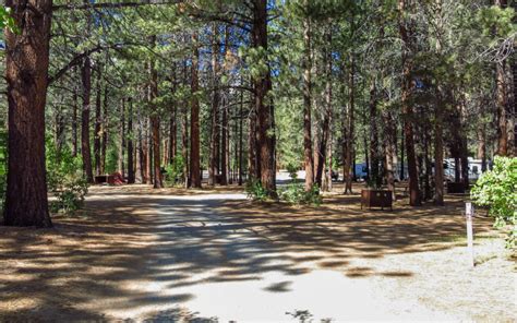 Lower Lee Vining Campground - Lee Vining, California - 395 Guide