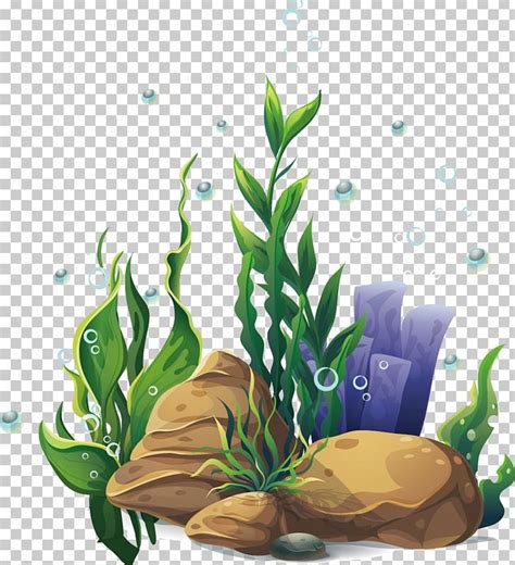 Ocean Plants Clipart