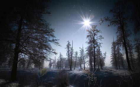 Winter Night Sky Wallpaper (64+ images)