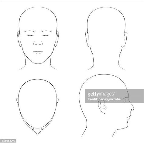 Human Head Profile Photos and Premium High Res Pictures - Getty Images