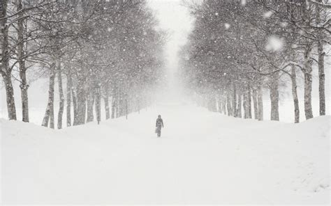 Snow Blizzard Wallpaper - WallpaperSafari