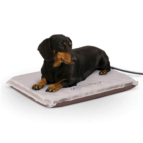 The Best Heated Dog Beds in 2023 | PawGearLab