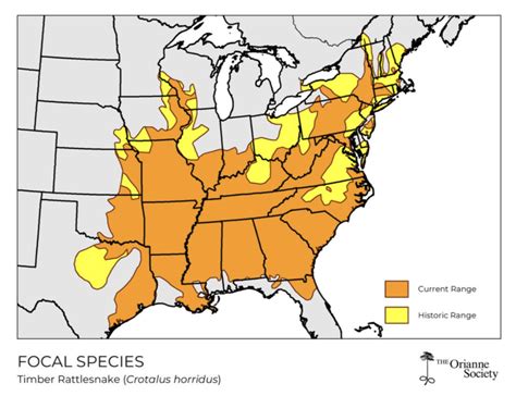 Understanding The Distribution Of Rattlesnakes: A Guide To Range Maps - Native Tribes of Georgia ...