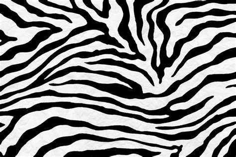 Zebra Pattern Wallpapers - Top Free Zebra Pattern Backgrounds - WallpaperAccess