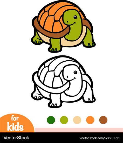 Coloring book tortoise Royalty Free Vector Image