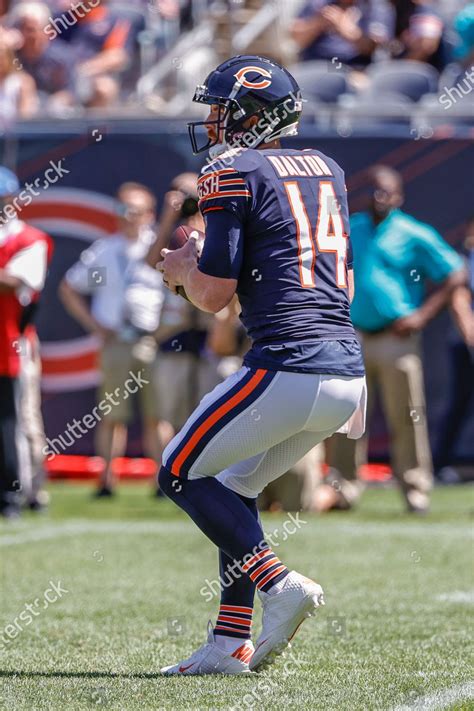 CHICAGO BEARS QUARTERBACK ANDY DALTON 14 Editorial Stock Photo - Stock Image | Shutterstock