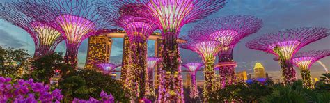 Gardens by the Bay | Singapore Attractions | Big Bus Tours