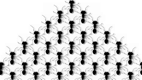 Marching Ants Cliparts | Free download on ClipArtMag