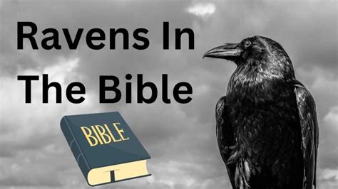 Ravens in the Bible: A Closer Look at their Symbolism and Significance | by Arbaz | Medium