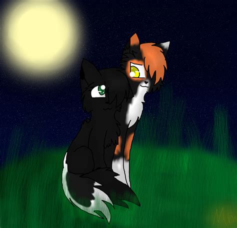 Hollyleaf and Sol by Mega-Icarus on DeviantArt