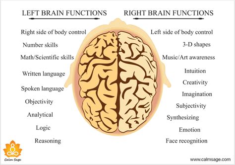 Left Brain vs Right Brain : What's The Difference?