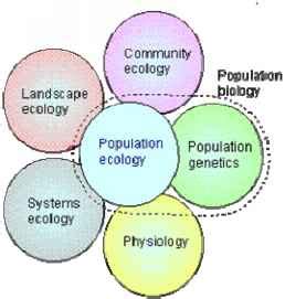 What is Population Ecology - Population Density - Ecology Center