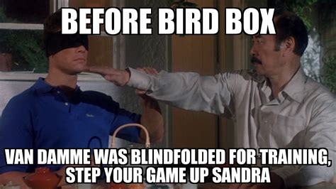 Bird box Meme : r/memes