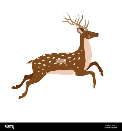 Vector flat hand drawn jumping deer isolated on white background Stock ...