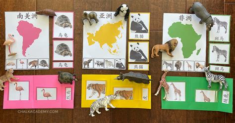 Best Montessori Animals and Continents Activity for Kids