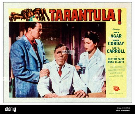 TARANTULA, from left: John Agar, Leo G. Carroll, Mara Corday on lobbycard, 1955 Stock Photo - Alamy