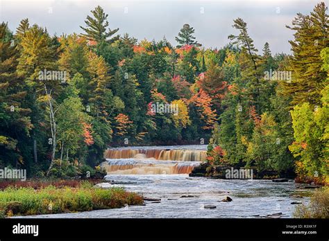 Michigan, Tahquamenon Falls State Park, Lower Falls Stock Photo - Alamy