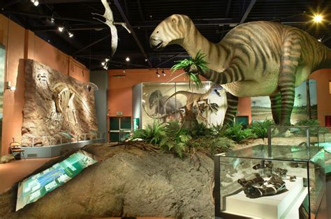 Britain’s best places to see: Dinosaurs and fossils – Museum Crush