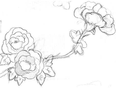 Chinese Flower Drawings