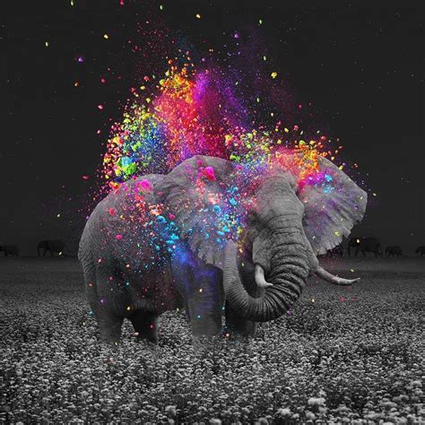 Colorful Elephant Wallpapers - Top Free Colorful Elephant Backgrounds - WallpaperAccess