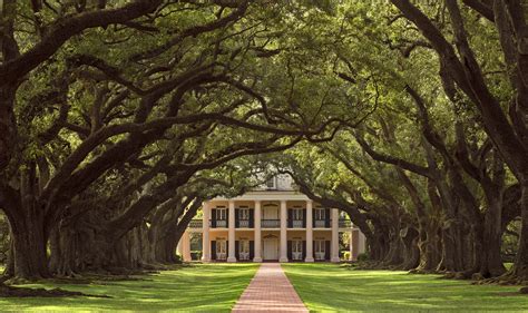 Plantation Tours | Oak Alley Plantation