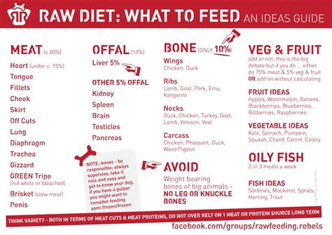 Raw feeding Dogs - Starter Guide - Rawfeeding Rebels