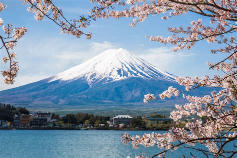 Where to Find the Best Views of Mount Fuji