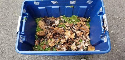 How to build a composting worm farm – Artofit