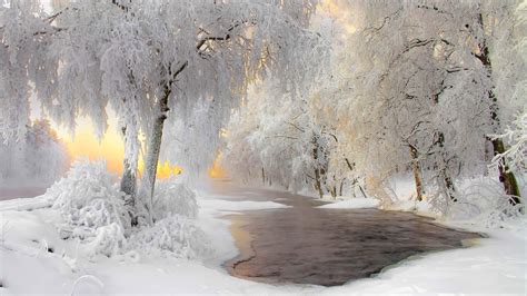 Bing Wallpaper Winter Scenes