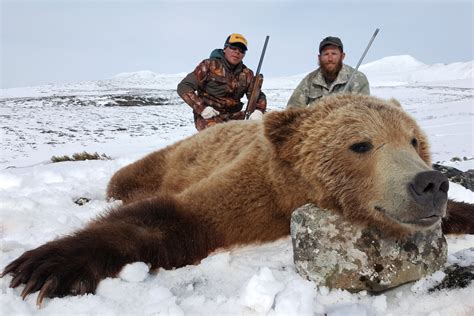 Spring Brown Bear Hunts - Kamchatka Trophy Hunts