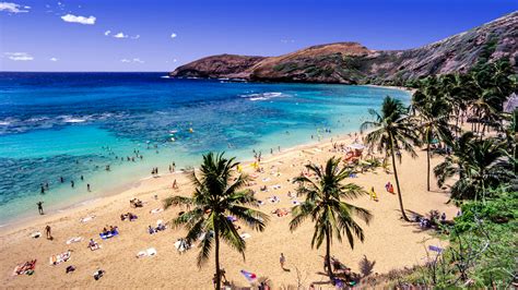 Getting around in Honolulu - Lonely Planet