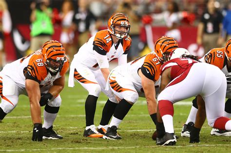 Cincinnati Bengals Season Preview by Pro Football Focus - Cincy Jungle