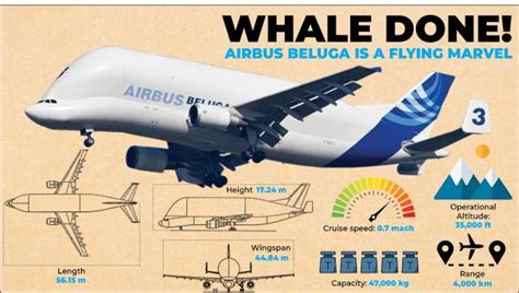 Inside Airbus Beluga, the world’s largest aircraft, which has landed in Mumbai