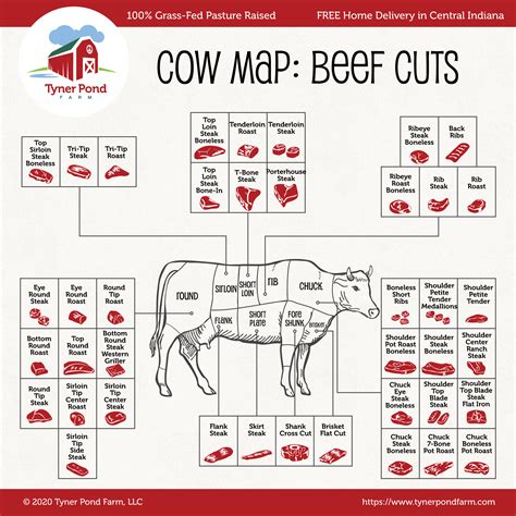 Diagram Of Cuts Of Meat On A Cow