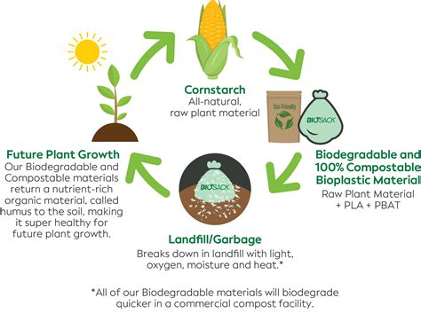 Biodegradable Packaging Suppliers: Favourite Packaging