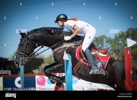 horse jumping competition Stock Photo - Alamy