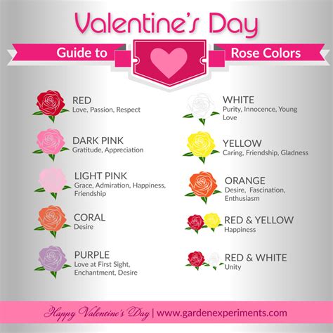 The Meaning of Rose Colors: A Valentine's Day Guide